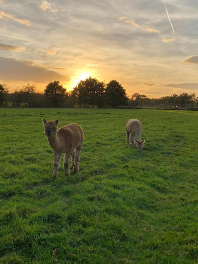 Grutsk Op 12 Bed & Breakfast Drachten Dış mekan fotoğraf