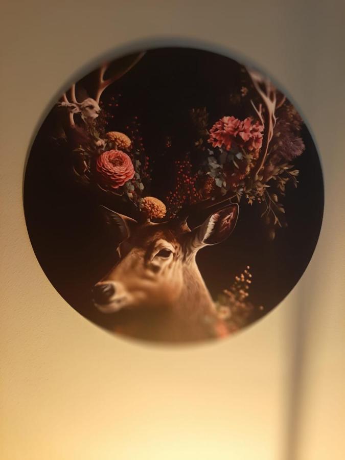 Grutsk Op 12 Bed & Breakfast Drachten Dış mekan fotoğraf
